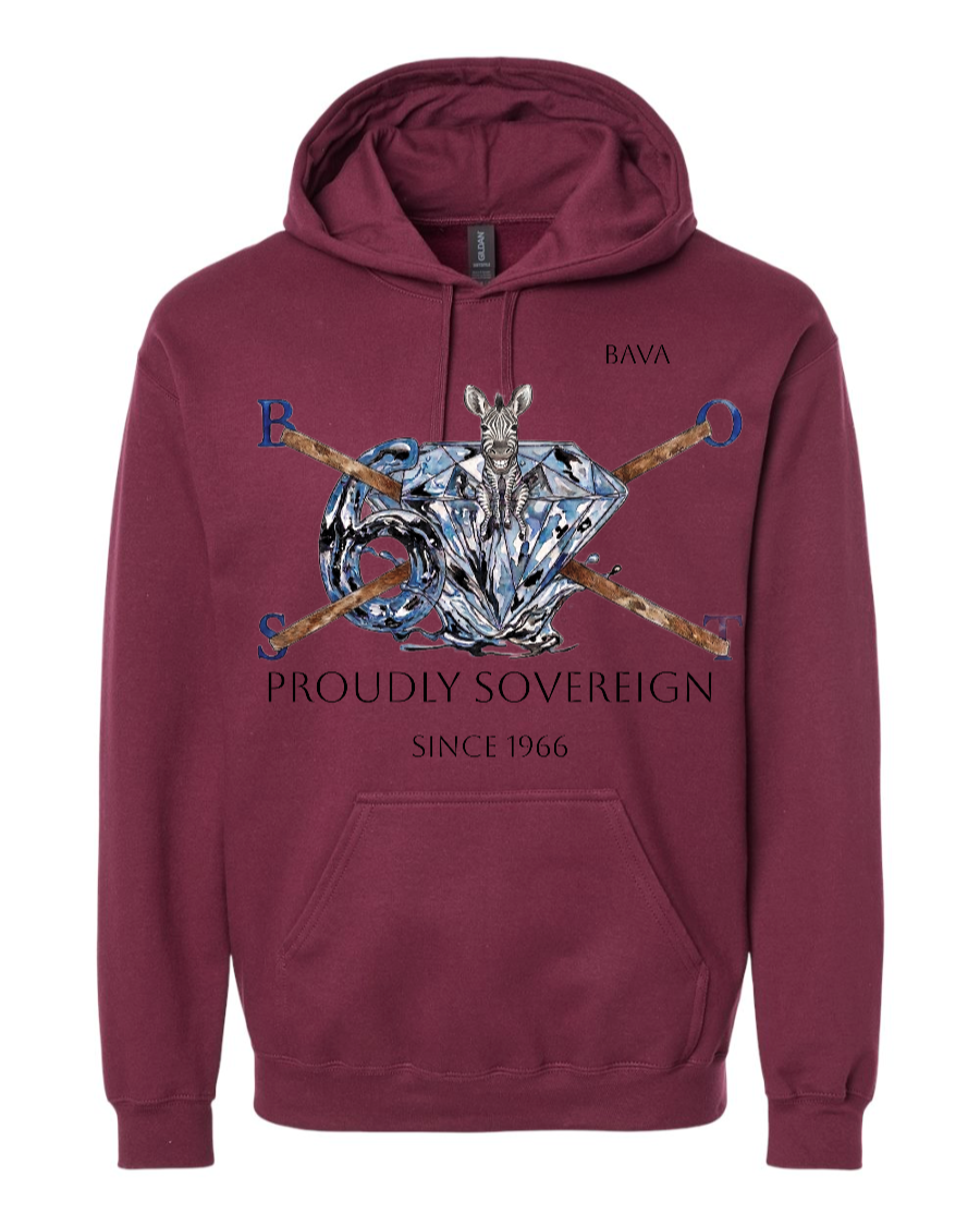 PROUDLY SOVEREIGN HOODIE - Image 2